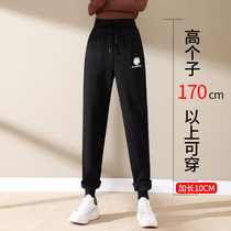 Long slim sweatpants womens loose feet spring 2021 New High waist wear Korean version of Harlan casual pants