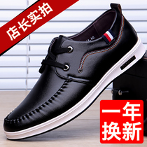 Official website Red dragonflies mens casual leather shoes Mens Korean version Mens shoes 2021 New trendboard shoes driving soft leather soft