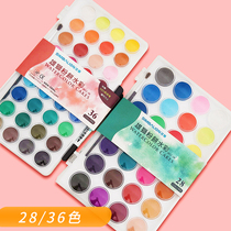 Lion watercolor powder cake art professional sketching tool transparent solid watercolor paint beginner childrens drawing