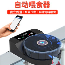 Timed independent serving serving machine Ornamental gupplefish parrot fish small fish powder feed automatic fish feeder