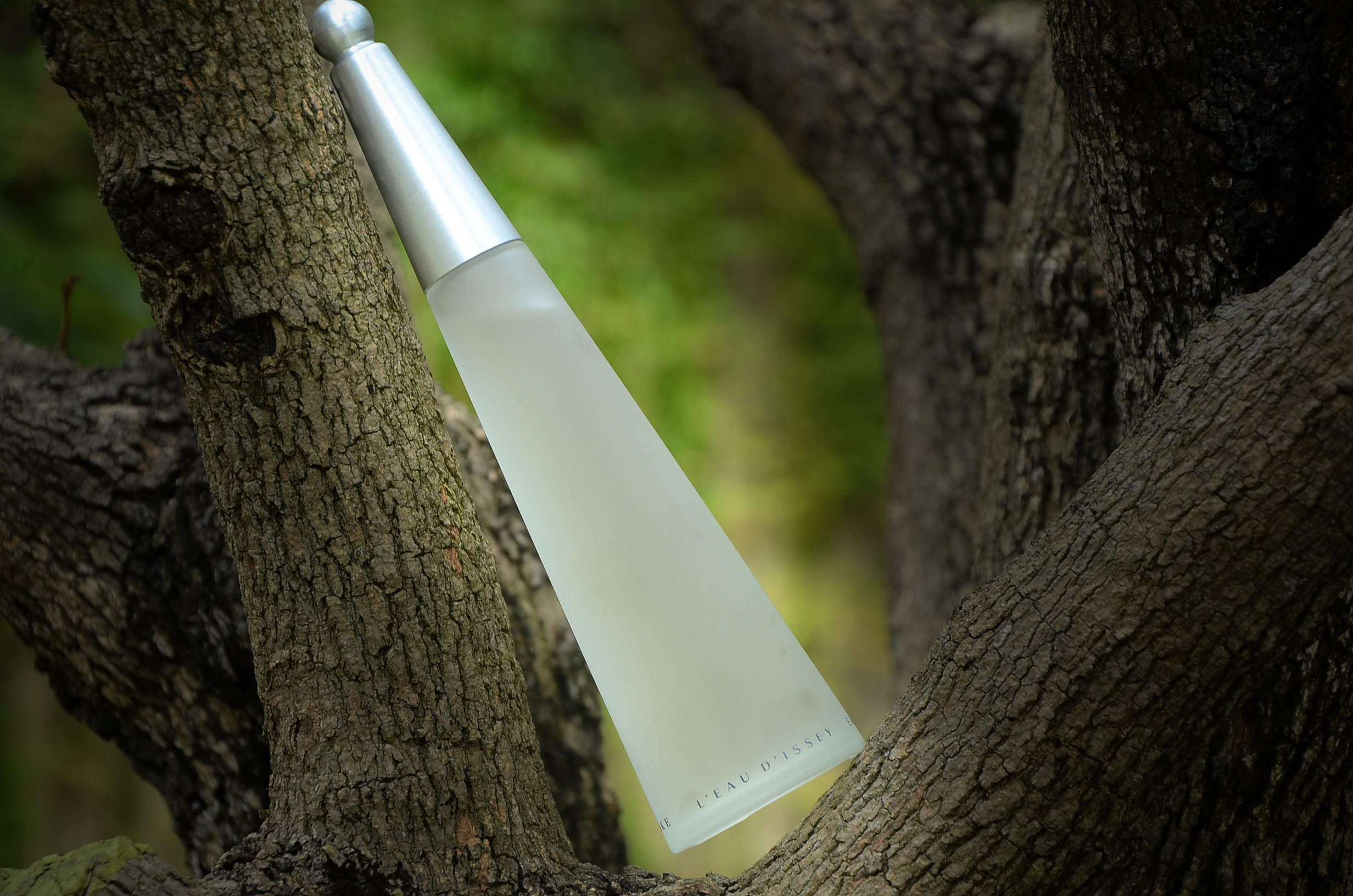 issey miyake三宅一生 一生之水edt女士淡香100ml 分装