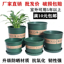 New second-generation chunky gallon flowerpot plastic green rose fleshy large caliber clearance specials thickened gallon basin