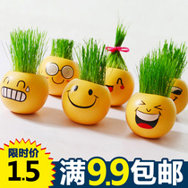 Creative grass head doll desktop mini plant potted cartoon cute smiling face office cultivation balcony small bonsai
