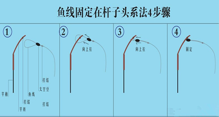 老鼠尾鱼漂图解图片