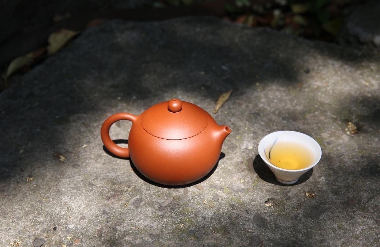 年少不喝普洱茶喝懂已是不惑年