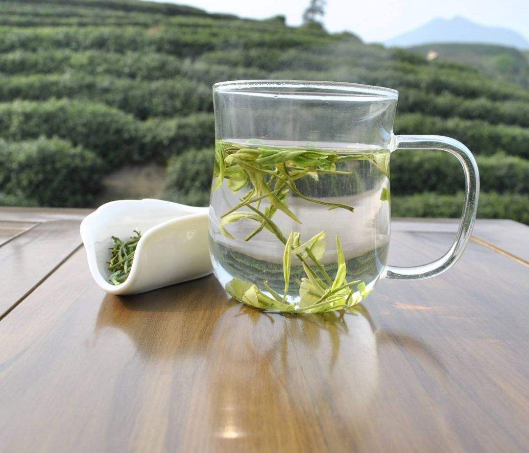 爱打扮(www.idaban.cn)，白茶与绿茶哪个降火效果更好？31