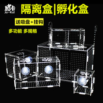 Gaka aquarium Acrylic fish tank isolation box Incubation box Breeding box Separator box Small fry isolation box