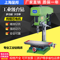Bench drill 16MM small household multi-function 220V industrial heavy-duty high-power desktop drilling and milling precision drilling machine