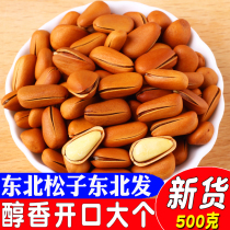 Northeast red pine nuts open hand peeled wild bulk plain big grain fresh nuts dried fruit casual snack 500g