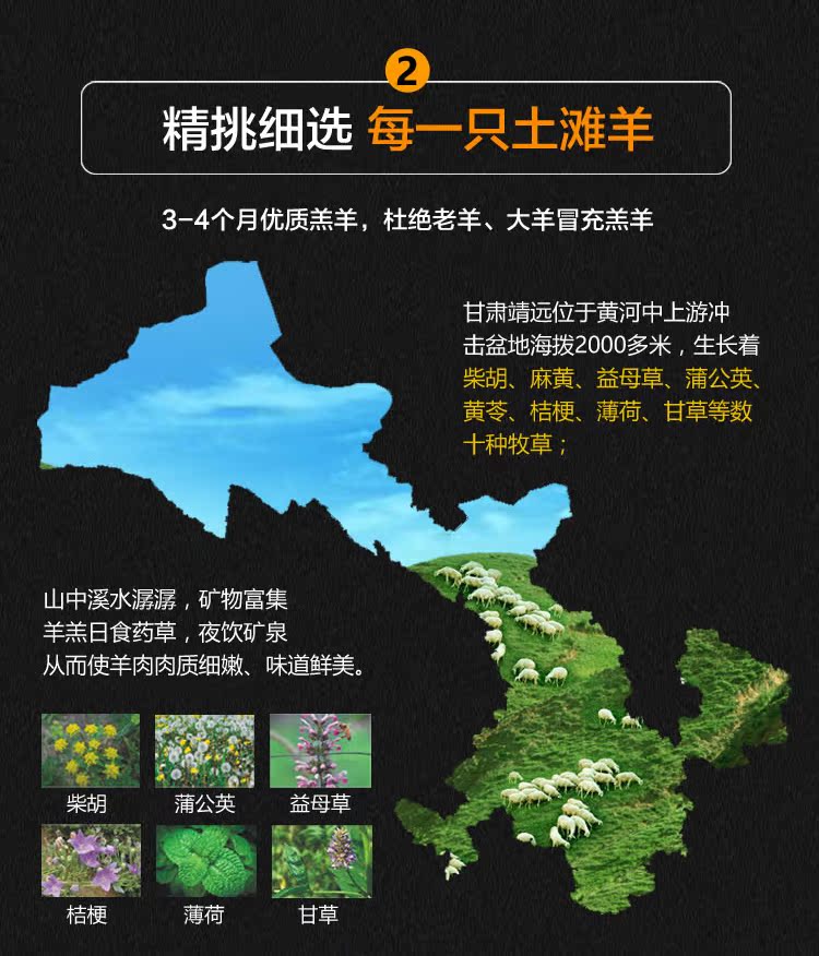 公羊食品 土滩羊整只羊羔 甘肃哈思山放养新鲜生羊肉白条羊烤全羊_双