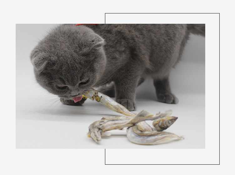 小鱼干猫零食网红小脆鱼猫咪抖音多春鱼