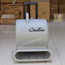 Industrial hair dryer three-speed powerful blow dryer ground carpet hotel shopping mall hotel blower dehumidification fan
