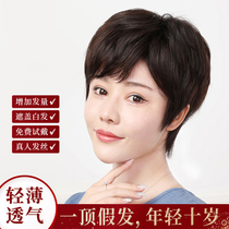 Wiggling woman short hair natural short straight hair real man silk middle-aged old mother fashion wig full set