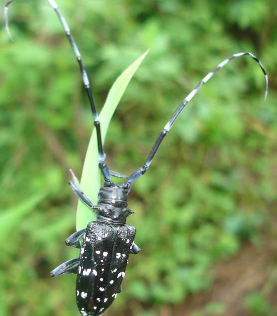 快过年了,突然想念小时候的味道了!