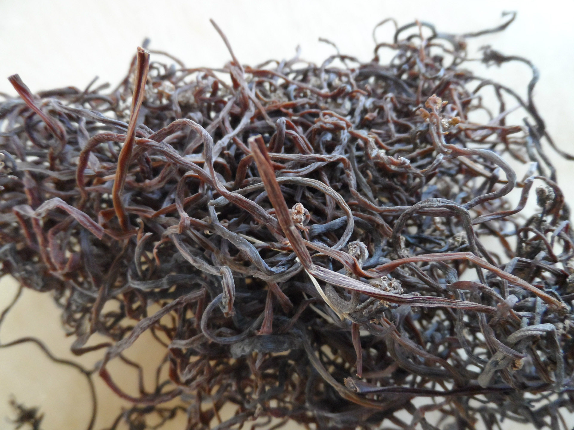 去购买 蕨菜干即脱水蕨菜干制品,蕨菜为凤尾科植物蕨莱的嫩叶.