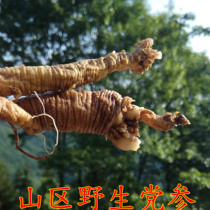 Wild Dang Shen Sulfur-free Dang Shen Wild Dang Shen dry goods Dang Shen 500g Soil Dang Shen Chinese Herbal medicine Dang Shen section