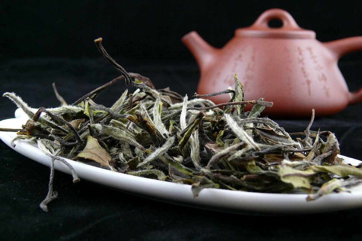 爱打扮(www.idaban.cn)，想短期保存白茶，这三点你都做到了吗？17