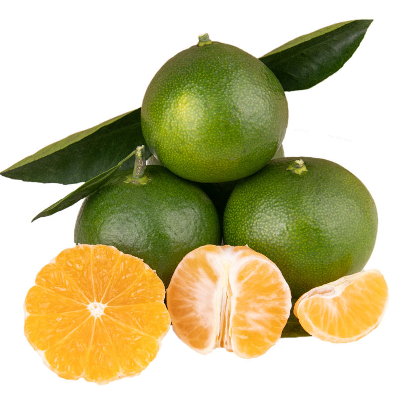 【买一送一】广西龙州新鲜青皮蜜桔柑橘子 现摘早熟当季时令水果