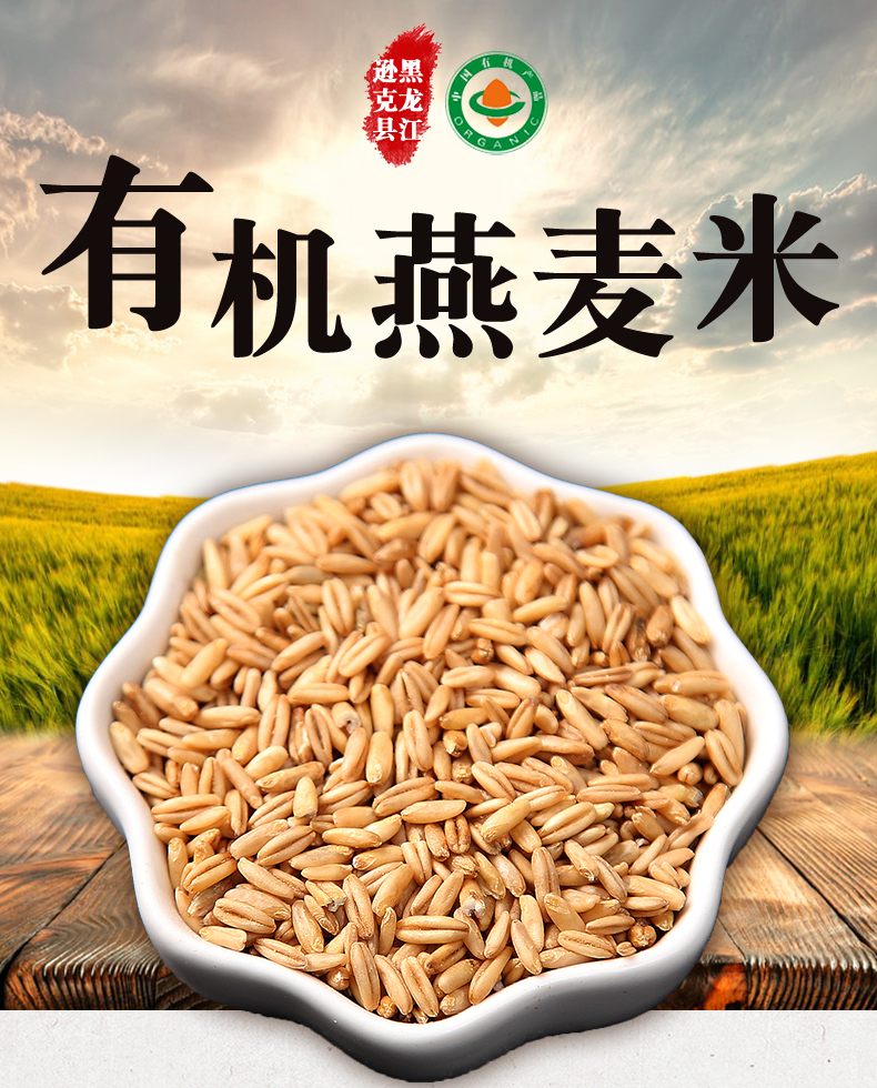 【北纬】有机粗粮五谷杂粮燕麦米400g