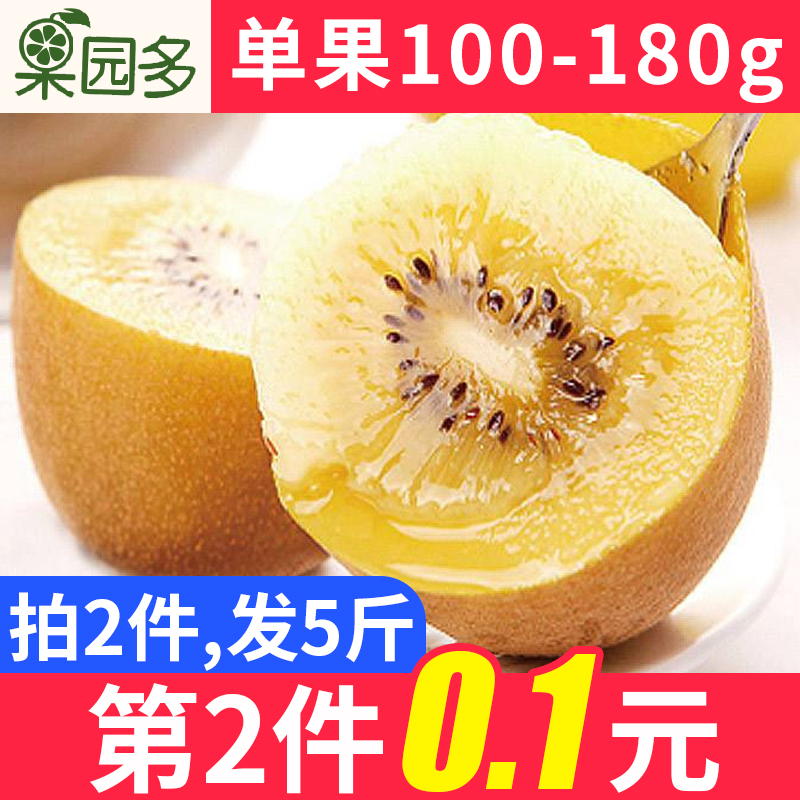 果园多 四川蒲江黄心猕猴桃 大果5斤（单果100~180g）