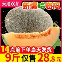 Xinjiang cantaloupe fresh pregnant women fruit 10kg should season whole box of mesh melon sweet crispy honeydew fresh melon