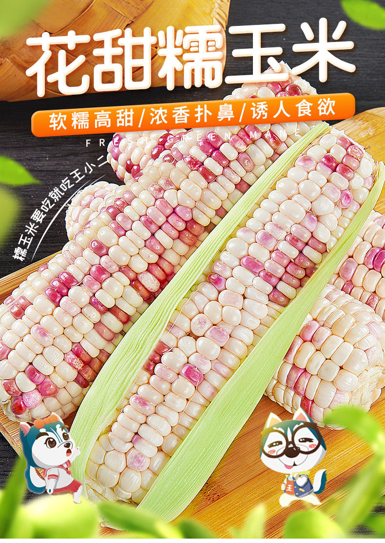 花糯玉米10斤新鲜时令鲜甜水果玉米黏玉米棒子即食甜粘嫩苞米