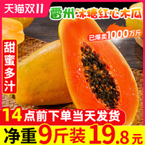 Leizhou rock sugar red heart papaya 9kg season green skin papaya milk fresh fruit box ripe 10