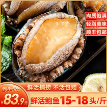 Fresh abalone Fresh seafood Aquatic seafood sea catch fresh shellfish Heated small abalone SF 15-18 head 1 catty