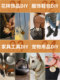 소 가죽 밧줄 목걸이 DIY 액세서리 로프 부드러운 꼰 펜던트 랜디드 블랙 백 둥근 가죽 스트립 소 가죽 밧줄 목걸이 DIY 액세서리 로프 부드러운 꼰 펜던트 랜디드 블랙 백 둥근 가죽 스트립