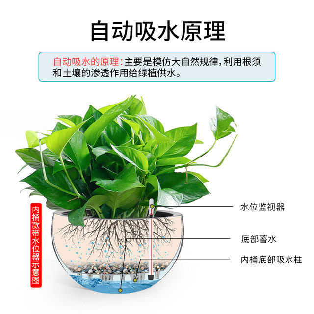 ອັດຕະໂນມັດດູດນ້ໍາ succulent ດອກ pot hanging basket hanging orchid hanging lazy creative plastic green radish basket ຫມໍ້ດອກໄມ້ຂະຫນາດໃຫຍ່ພິເສດ