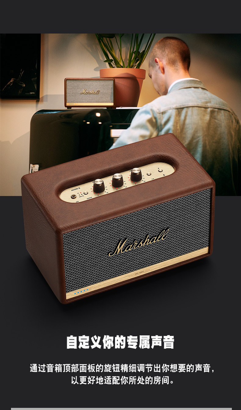 Acton-2-Voice-Details Brown Version_07.jpg