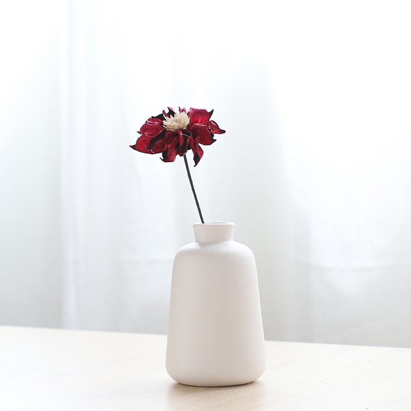 South simulation flowers, dried flowers sheng I and contracted household act the role ofing is tasted ceramic vase hydroponic ins wind flowers, flower arranging furnishing articles