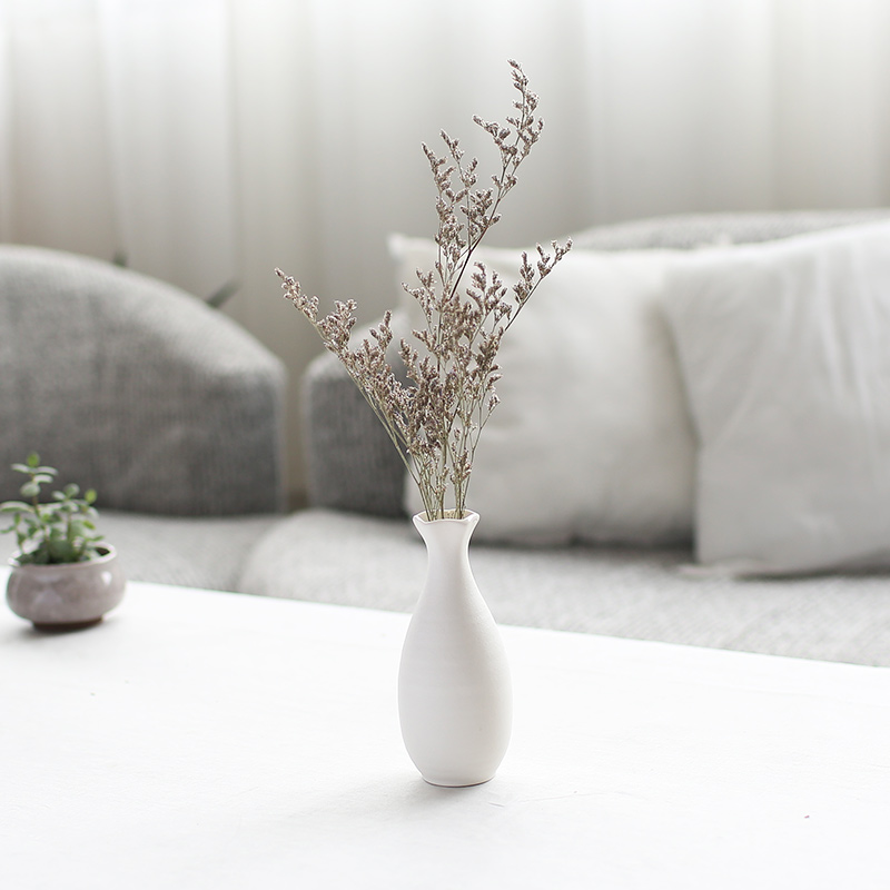 Nan sheng I and contracted creative ceramic vase simulation flowers, dried flowers, household act the role ofing is tasted furnishing articles mesa of flower arrangement