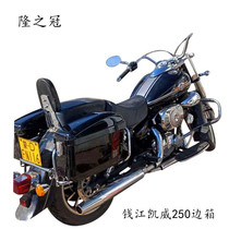 Longzhiguan Qianjiang Kaiwei 250 Prince Car Side Box 202 Motorcycle Side Hanging Box Rongguang 200 Rear Tail Box