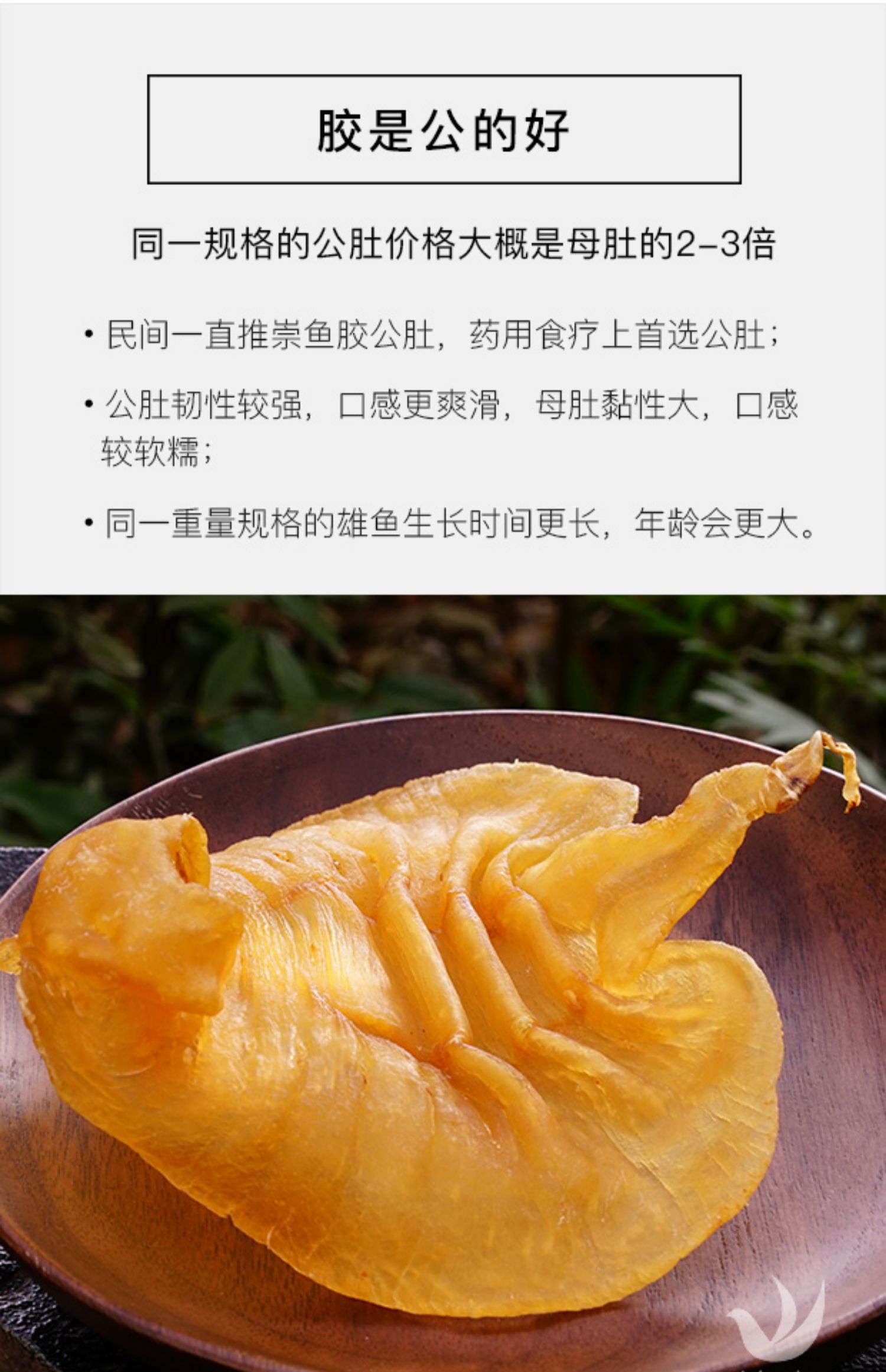 【8年老胶预售】赤嘴鳘鱼胶公肚花胶干货正品月子滋补250克10头装