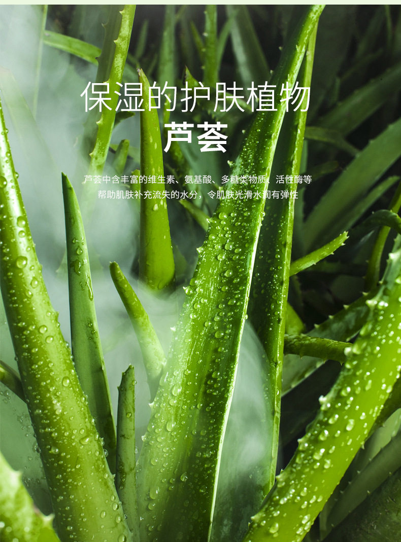 泊泉雅芦荟胶面膜贴20片蚕丝嫩白补水保湿睡眠去痘清洁收缩毛孔女
