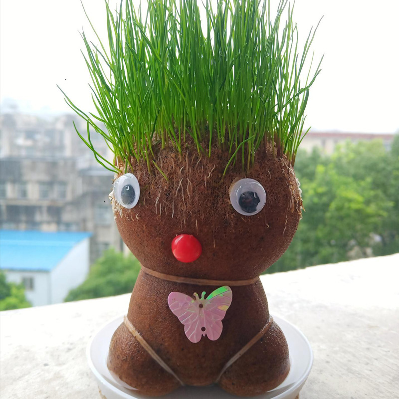 室内桌面头发浇水头上长草娃娃盆栽草头植物种籽创意小摆件可爱
