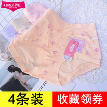 4 Price Colored Field Underwear Bicolor Yarn Comfort Soft Modal High Waist 31156 Medium Waist 31155 Flat Pants