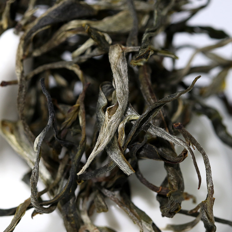 2盒200元 2017年景迈春尖 普洱茶生茶散茶500g 明前春茶 生茶叶