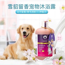 Ferret dog shower gel Teddy golden hair deodorant sterilization Pet bath shampoo Deodorant anti-itching decontamination fragrance