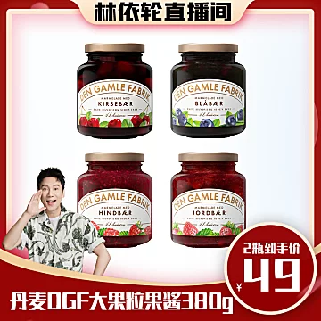 丹麦DGF进口大果粒果肉草莓果酱蓝莓早餐[5元优惠券]-寻折猪