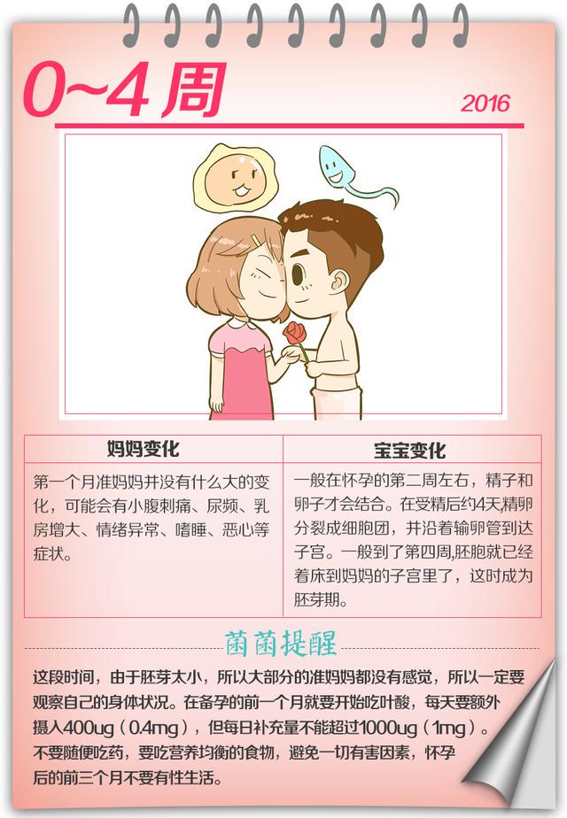 (来源: 十月呵护1)             怀孕的过程太漫长