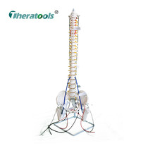 SPS Spiral Muscle Chain Spinal Side Bend Stabilization Training Rehabilitation Gymnastics Correction Dynamic Teaching Aids Model Training