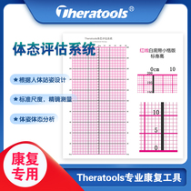 Therathools Professional Rehabilitation Body Posture Assessment Figure posture Posture Screening Tool Studio Clinic Medical version