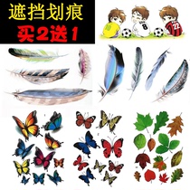 Personalized car stickers Car stickers 3D three-dimensional stickers Creative block scratches scratches Body decoration Feathers butterflies flowers
