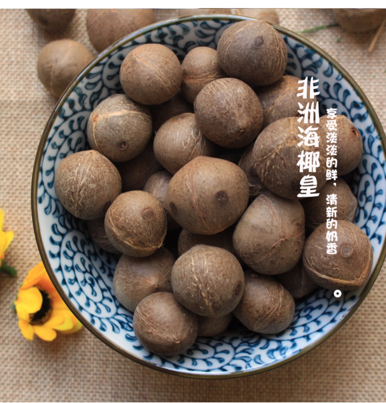 海椰皇非洲海耶皇复椰子海椰王进口炖汤椰香500克包邮