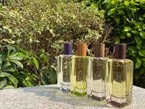 Hermes Rose Road Yunnan Laurel Myrrh Rose Agar Ebony Iris Ukiyo-e Amber Cloud smoke Jane dress