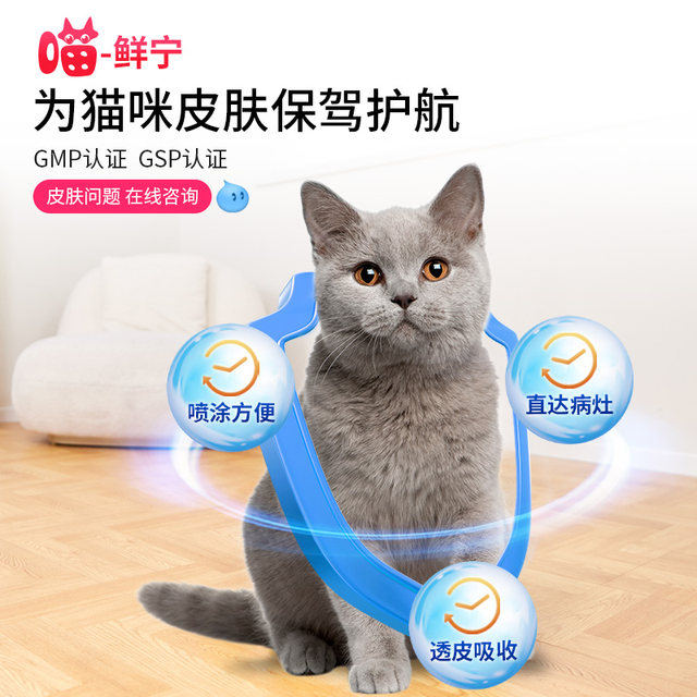 Bull Meow Xianning cat moss black chin cat ringworm ຢາພິເສດເພື່ອປິ່ນປົວພະຍາດຜິວຫນັງຊຸດສີດພາຍນອກ