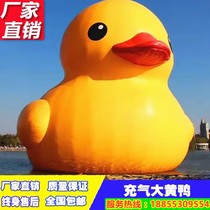 Inflatable Water Rhubarb Duck PVC Small Duck Closed Gas Advertising Net Red Little Yellow Duck Card Ventilation Die Mascot Customized