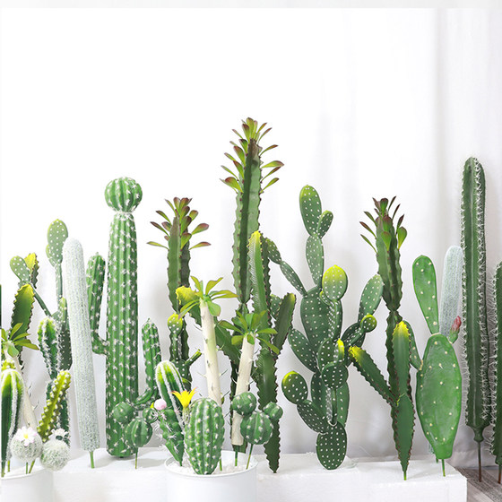 Simulation succulent cactus cactus tropical green plant window decoration landscaping ornaments Nordic ins fake flowers Simulation succulent cactus cactus tropical green plant window decoration landscaping ornaments Nordic ins fake flowers